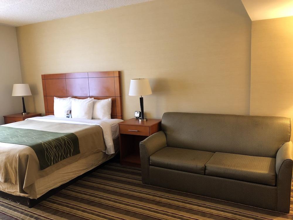 Comfort Inn Metro Airport Romulus Exterior foto
