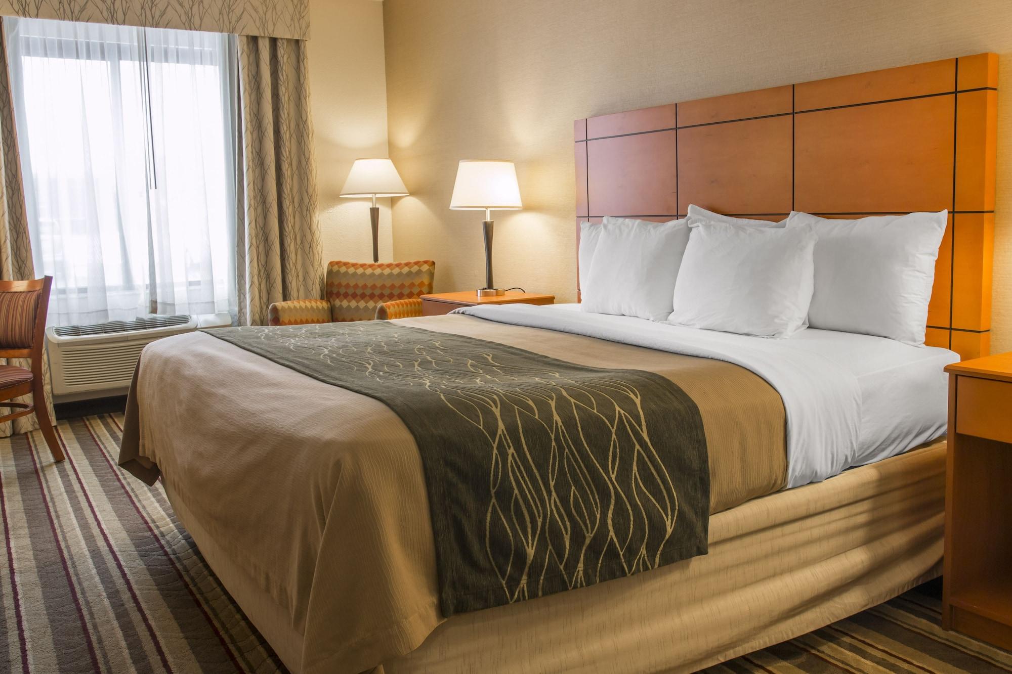 Comfort Inn Metro Airport Romulus Exterior foto