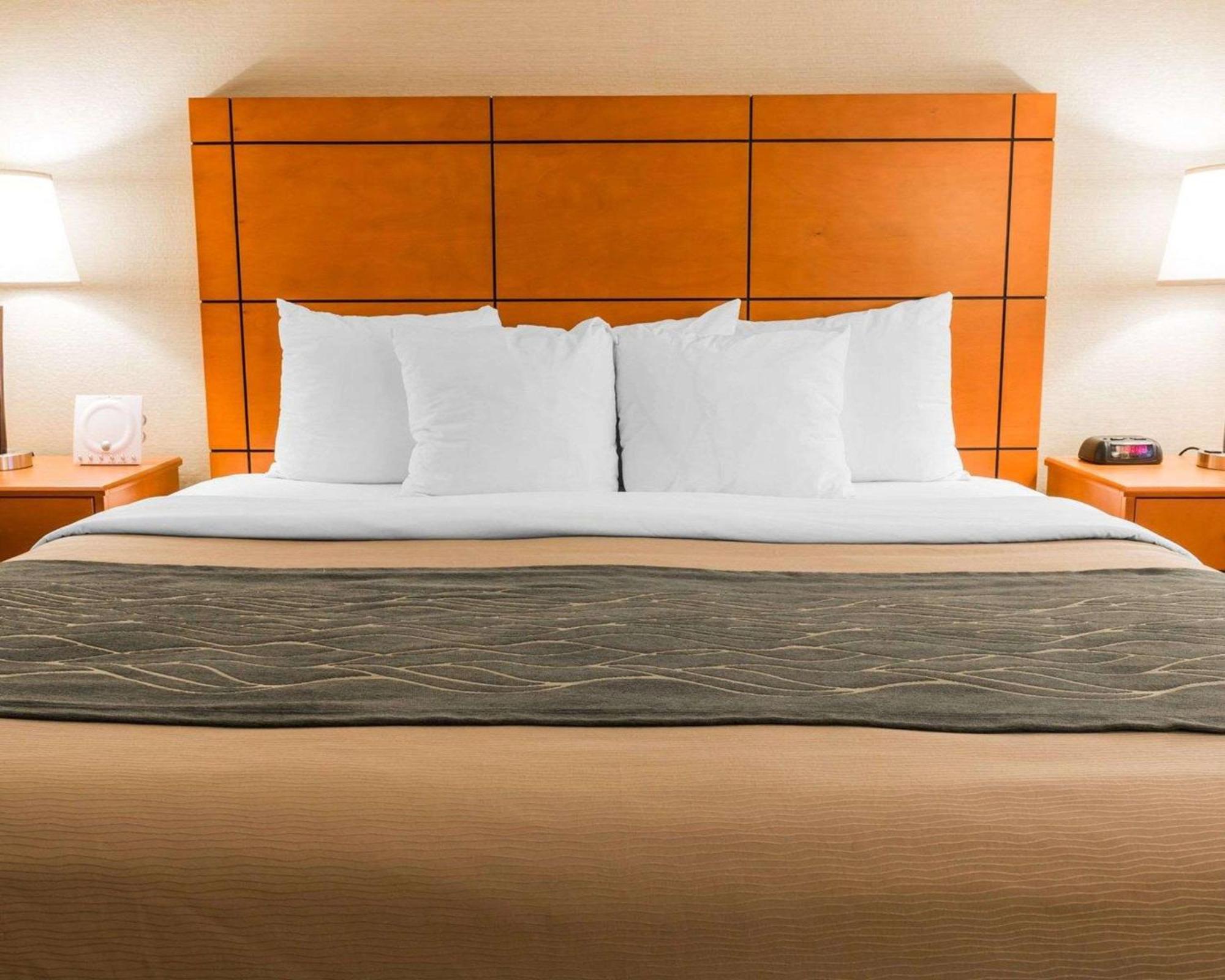 Comfort Inn Metro Airport Romulus Exterior foto