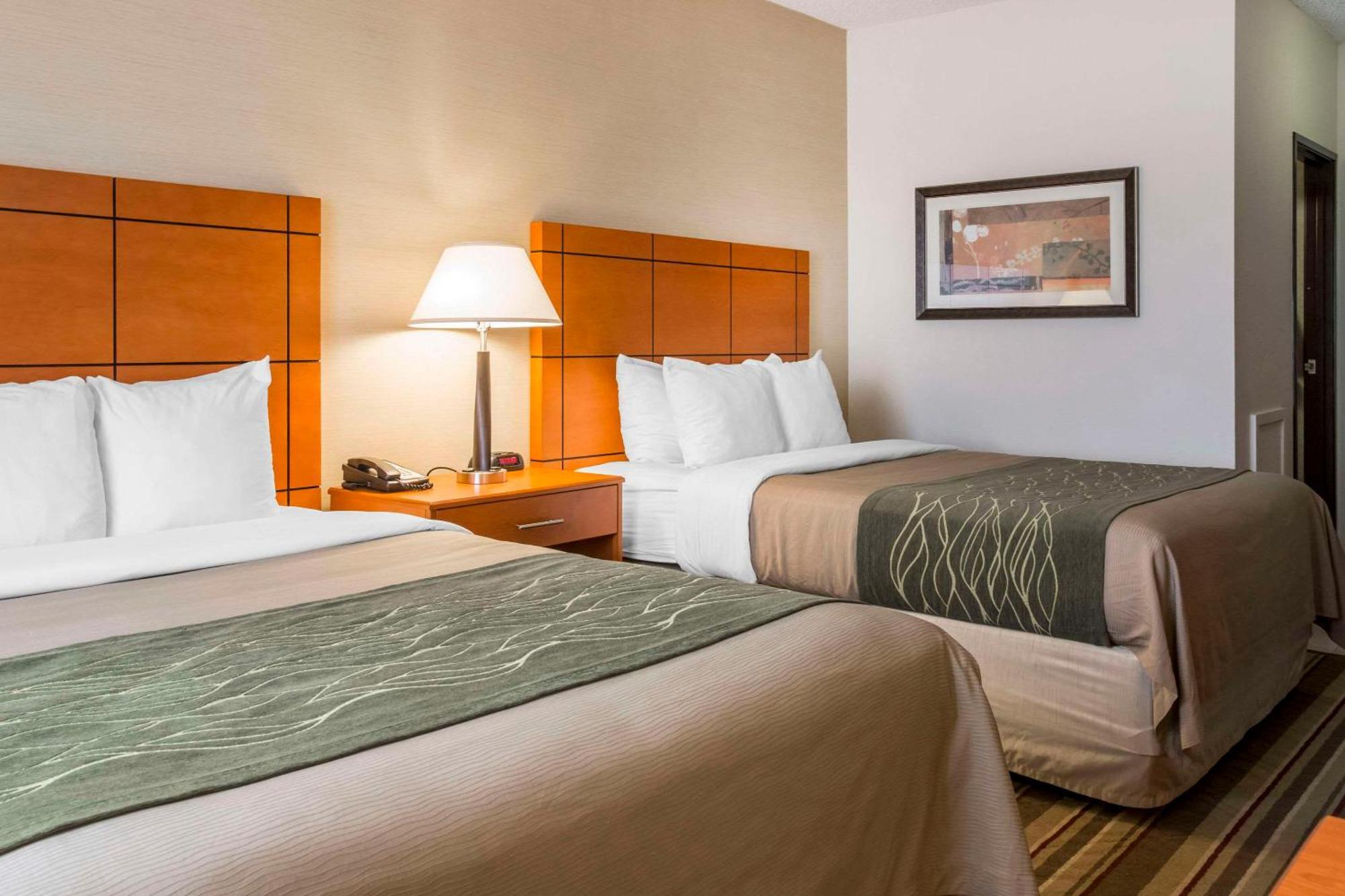 Comfort Inn Metro Airport Romulus Exterior foto